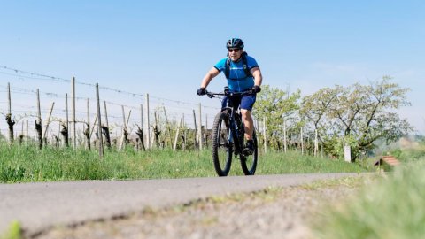 Radurlaub im Thermen- und Vulkanland, Bild 1/1