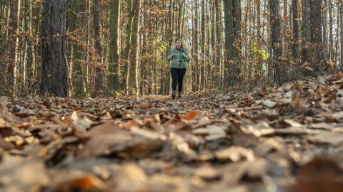Wanderhotel in der Südoststeiermark – Naturerlebnisse zwischen Weinbergen und Vulkanen, Bild 1/1