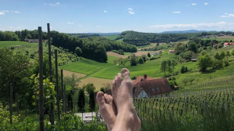 Ferienhaus mit Ausblick in der Steiermark, Bild 1/1