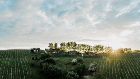 Hochzeitsreise in der Steiermark, Bild 1/1