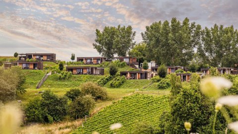 Auszeit am Land in der Steiermark, Bild 1/1