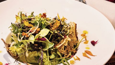 Vegetarisch essen in der Steiermark, Bild 1/1