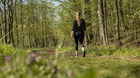 Wandern für Einsteiger - Tipps und Touren, Bild 1/1