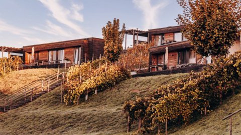 Chalet in der Steiermark buchen, Bild 1/1