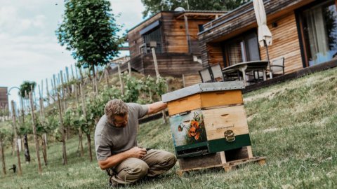 Nachhaltig Urlauben in der Steiermark, Bild 1/1