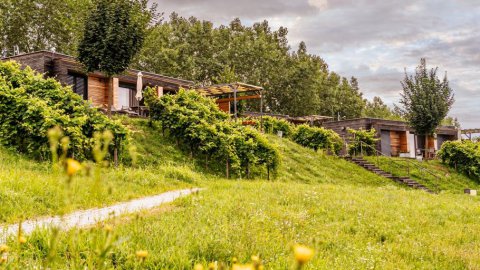 Urlaub ohne Stress in der Steiermark, Bild 1/1