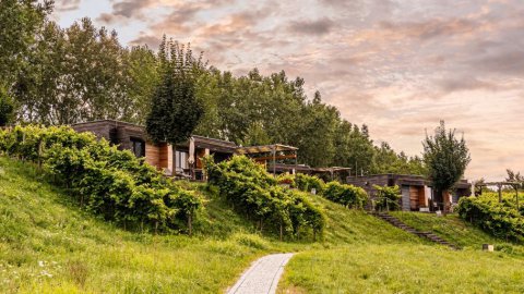 Urlaub ohne Smalltalk - warum Schweigen manchmal Gold ist, Bild 1/1