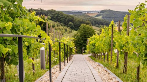 Wenn Reisen sonst anstrengend ist: neue Wege der Erholung, Bild 1/1