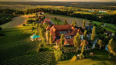 Hotel nahe Weinschloss Thaller, Bild 1/1