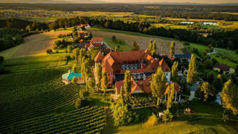 Hotel nahe Weinschloss Thaller, Bild 1/1