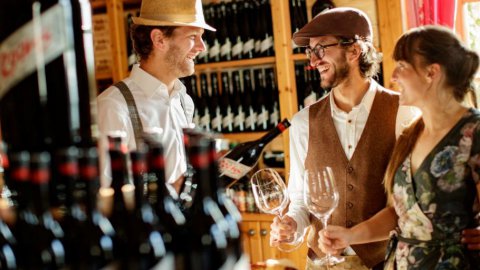 Events 2026 im Weinschloss Thaller & Ferien im Weingarten-Resort Unterlamm Loipersdorf, Bild 1/1