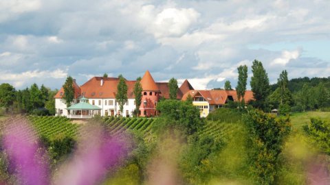 Frühlingserwachen 2026 im Weinschloss Thaller – Frühlings-Genuss & Übernachten im Weingarten-Resort, Bild 1/1