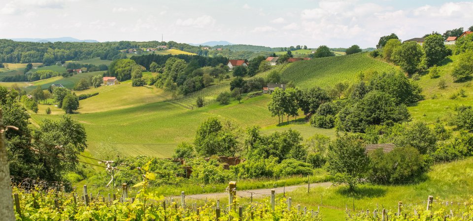 Ferienhaus in der Natur, Bild 1/1