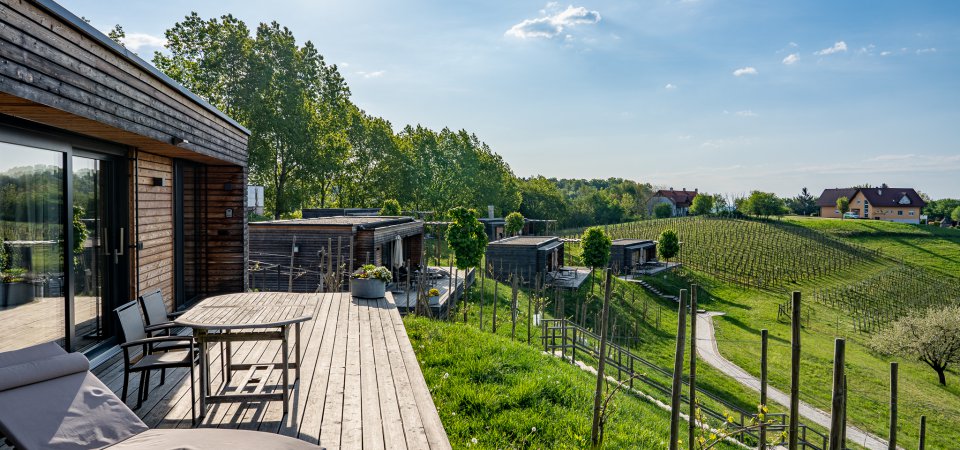 Weingartenhotel in der Steiermark, Bild 1/1