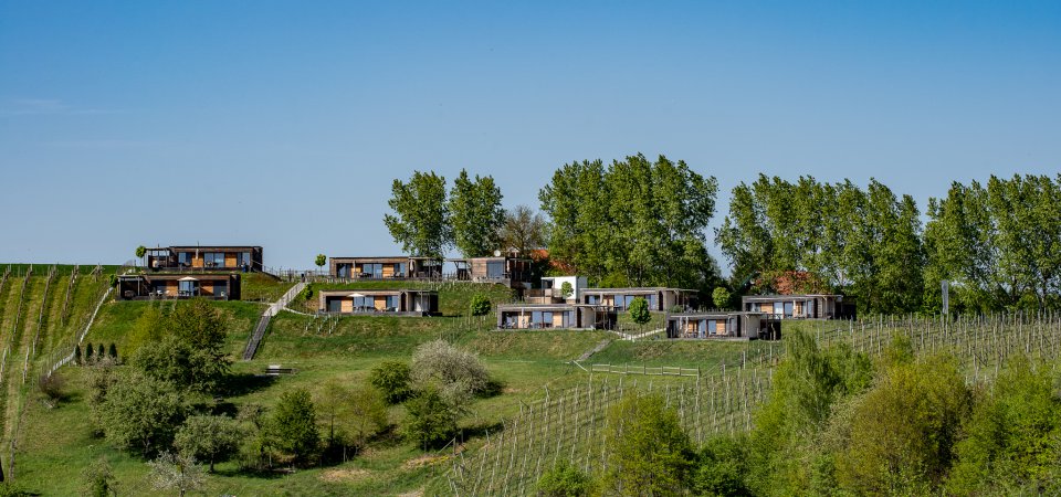 Ferienhäuser im Weingarten, Bild 1/1