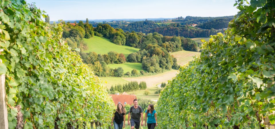 Loipersdorf Urlaub im Sommer, Bild 1/1