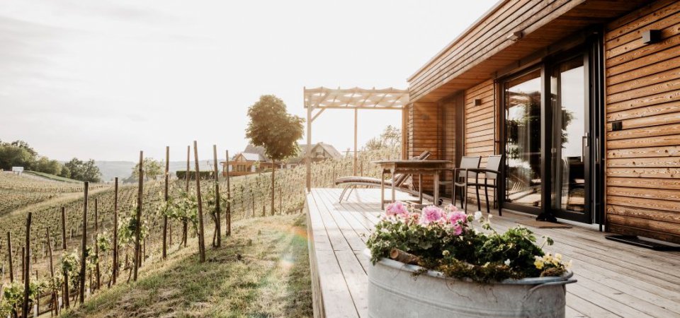 Ferienhaus in den Weinbergen, Bild 1/1