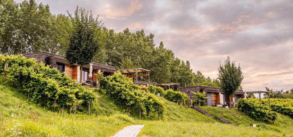 Urlaub in der Natur in der Steiermark, Bild 1/1