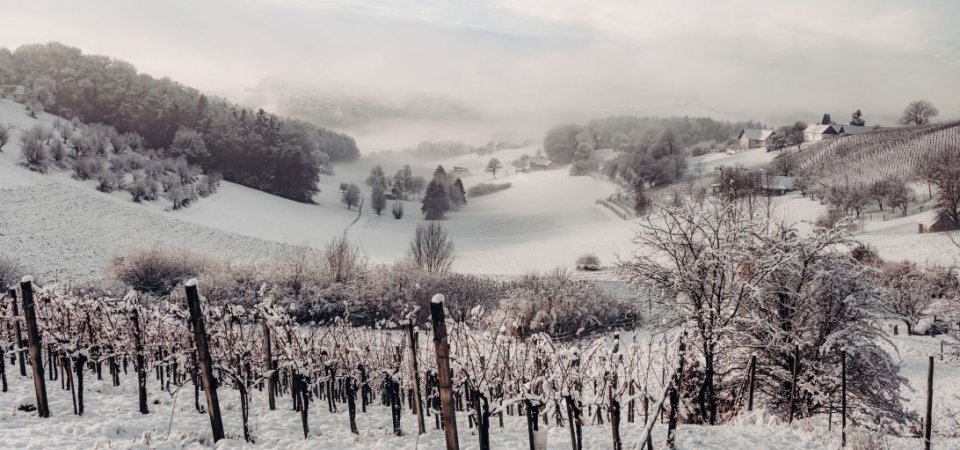 Winterurlaub in Österreich abseits der Pisten, Bild 1/1