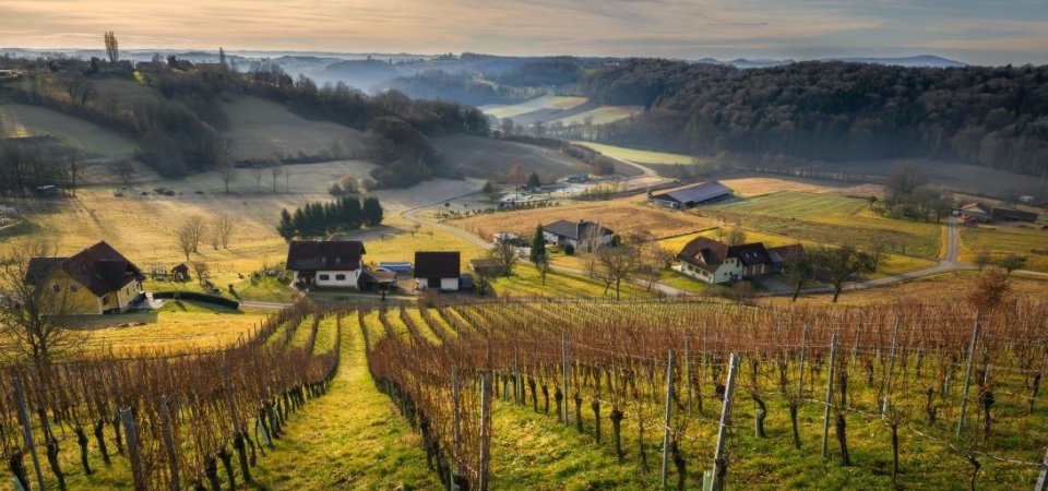 Nachhaltiges Winterwandern – Natur erleben im Vulkanland, Bild 1/1