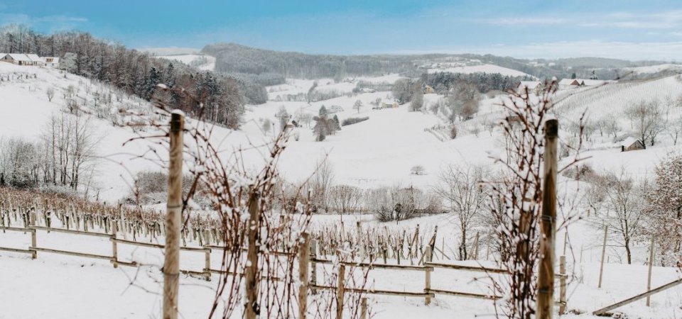 Winterwandern in der Steiermark – beliebte Regionen und Routen, Bild 1/1