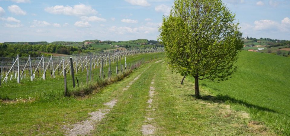 Wanderurlaub zum Jahrestag – Naturgenuss und Zweisamkeit in der Steiermark, Bild 1/1