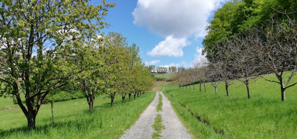 Hotel zum Wandern in der Steiermark , Bild 1/1