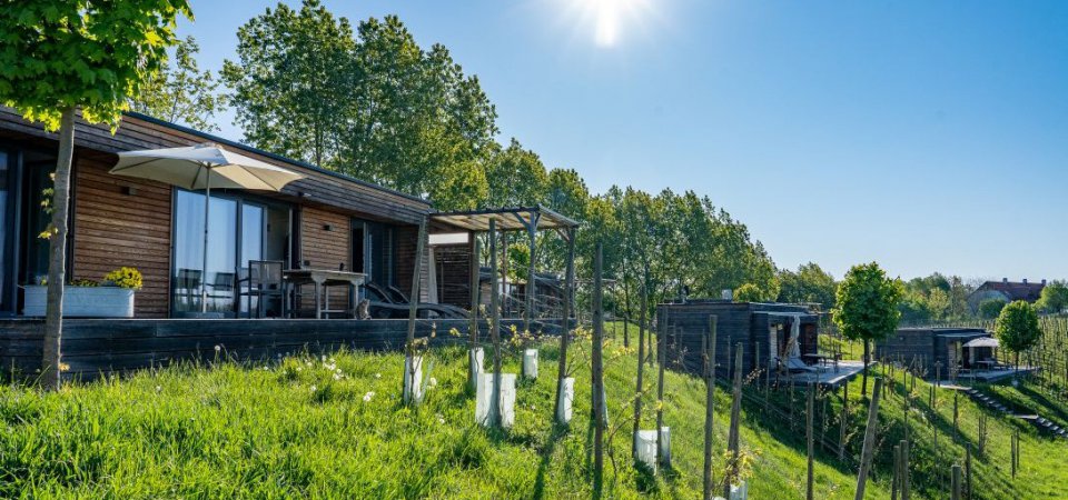 Wanderhotel im Vulkanland - das ganze Jahr unterwegs in der Steiermark, Bild 1/1