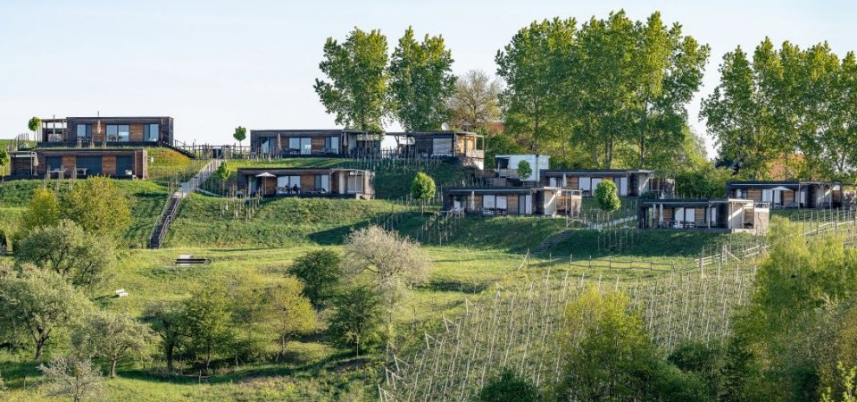 Urlaub im Grünen in der Steiermark, Bild 1/1