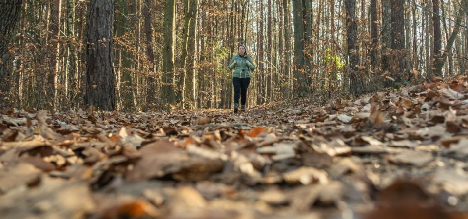 Wanderhotel in der Südoststeiermark – Naturerlebnisse zwischen Weinbergen und Vulkanen, Bild 1/1