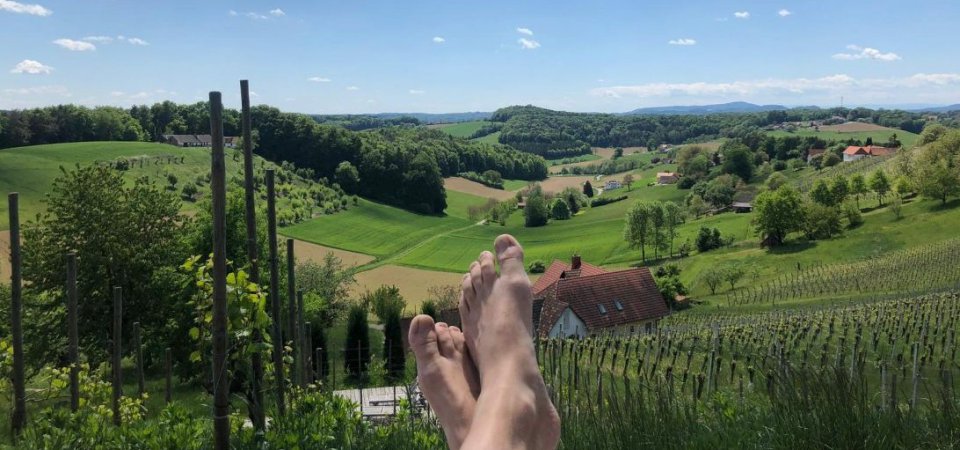 Ferienhaus mit Ausblick in der Steiermark, Bild 1/1