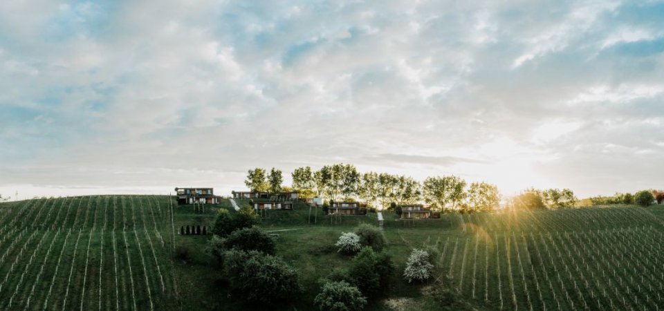 Hochzeitsreise in der Steiermark, Bild 1/1