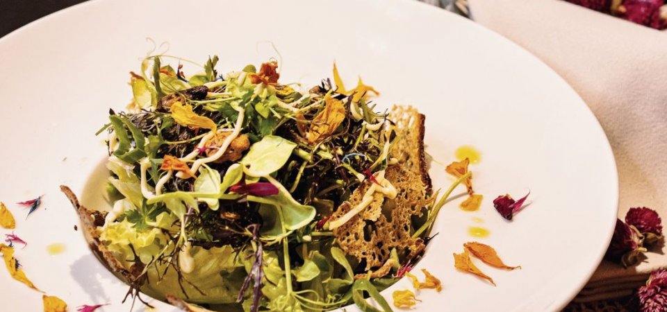 Vegetarisch essen in der Steiermark, Bild 1/1