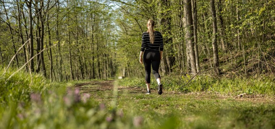 Wandern für Einsteiger - Tipps und Touren, Bild 1/1