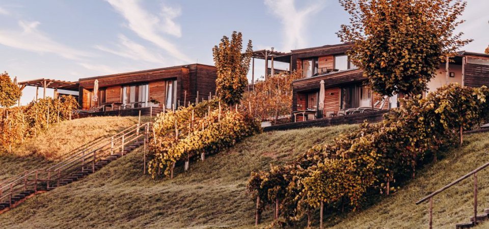 Chalet in der Steiermark buchen, Bild 1/1