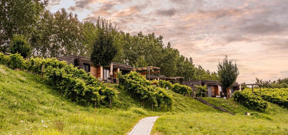 Urlaub ohne Smalltalk - warum Schweigen manchmal Gold ist, Bild 1/1