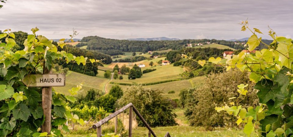 Grüner Urlaub in der Steiermark, Bild 1/1