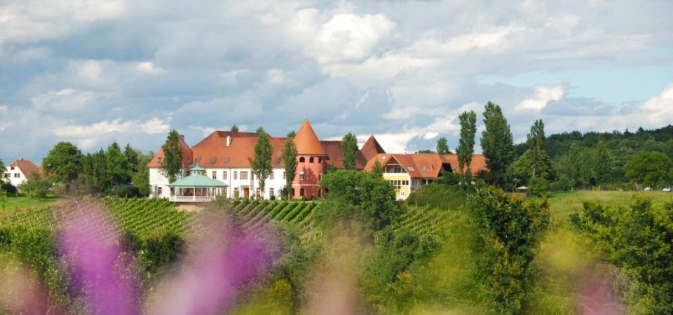 Frühlingserwachen 2026 im Weinschloss Thaller – Frühlings-Genuss & Übernachten im Weingarten-Resort, Bild 1/1
